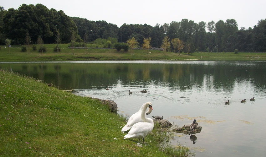 Parco Forlanini